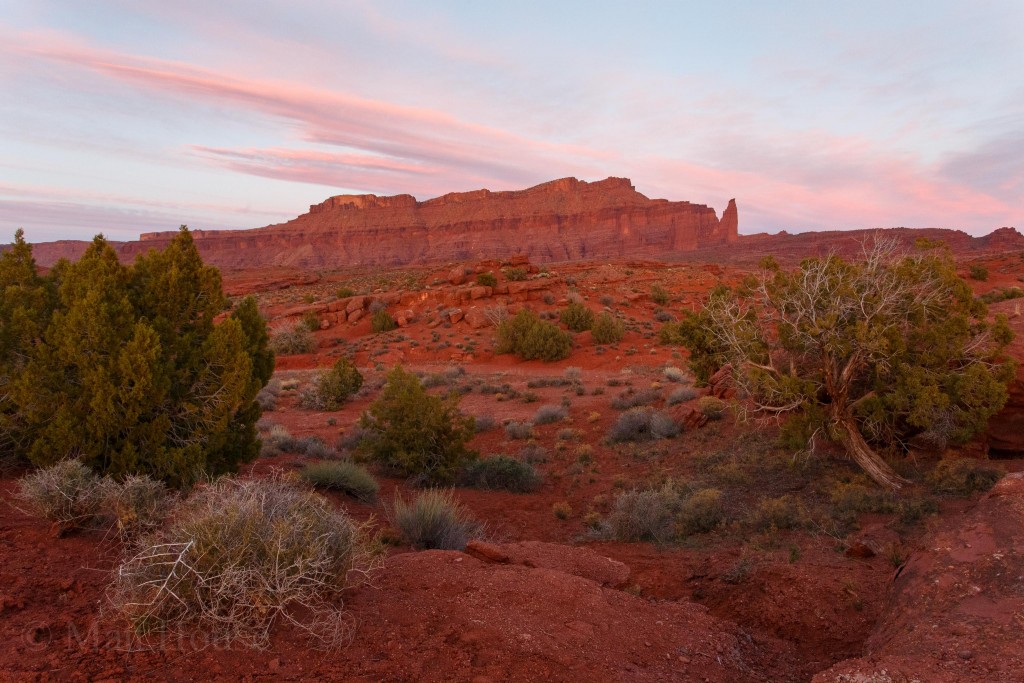 Desert sunset